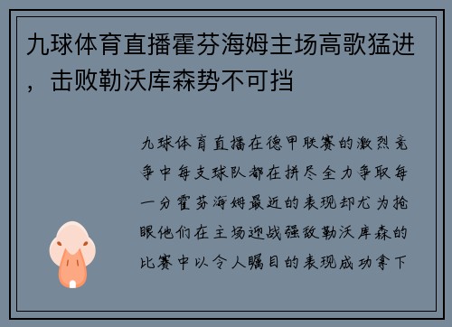九球体育直播霍芬海姆主场高歌猛进，击败勒沃库森势不可挡