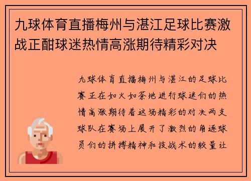九球体育直播梅州与湛江足球比赛激战正酣球迷热情高涨期待精彩对决