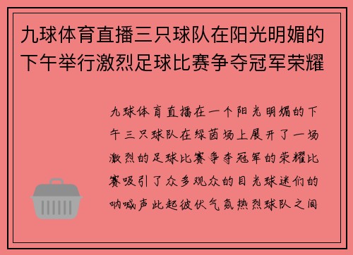 九球体育直播三只球队在阳光明媚的下午举行激烈足球比赛争夺冠军荣耀